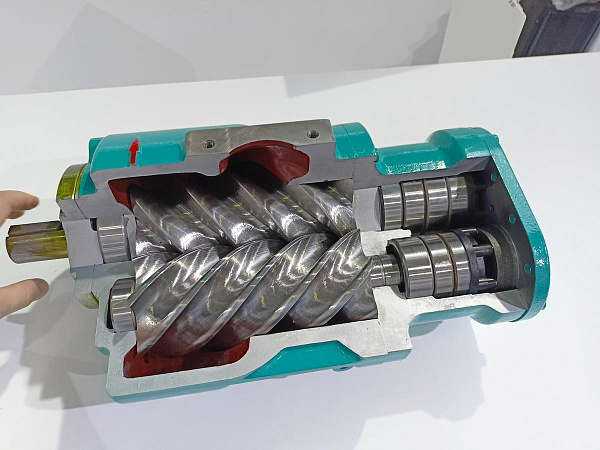 IMG20231024135518_новый размер.jpg