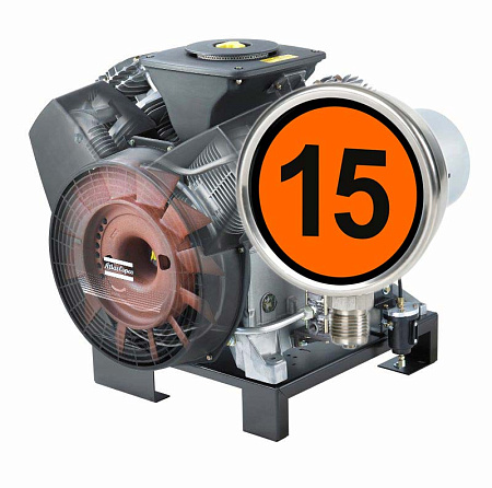 Поршневой компрессор Atlas Copco. Двухступенчатый маслосмазываемый поршневой компрессор Atlas Copco (Атлас Копко) LT10-15UVE Block.Исполнение: компрессорная головка с электродвигателем . Рабочее давление 15 бар.