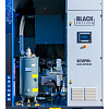 BE55 PM+ Винтовой воздушный промышленный компрессор Black Edition BE55 PM+